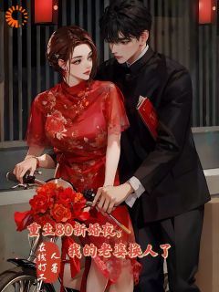 高质量小说重生80新婚夜，我的老婆换人了在线试读