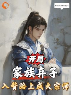 书荒推荐开局家族弃子，入赘路上成大宗师(徐子夜叶灵儿)在线试读