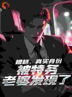 面具被击落,夫君你竟是谍战之王主角是林夏李燕小说百度云全文完整版阅读-随缘阅读网
