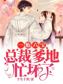 一胎六宝：总裁爹地忙坏了全集小说_陆可心安东华完结版阅读