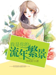 你是我的流年繁景小说的书名是什么