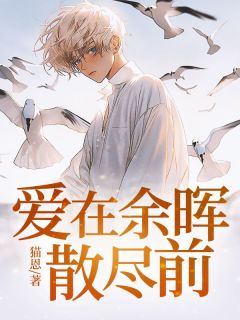 精品小说爱在余晖散尽前全文目录畅读