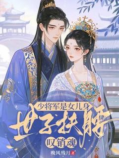 少将军是女儿身，世子扶腰叹销魂（叶锦苏谢渊）精彩小说目录阅读