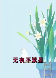 免费完结小说无夜不繁星顾凌旭苏禾岁无弹窗免费阅读