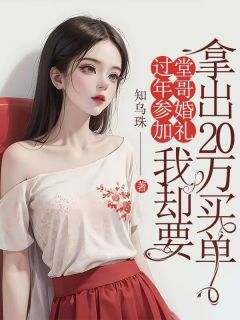 过年参加堂哥婚礼，我却要拿出20万买单章节目录小说-王灵灵免费阅读全文