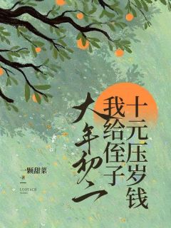 大年初二，我给侄子十元压岁钱小说最新章节-主角月月瑶瑶李晓梅全文免费阅读