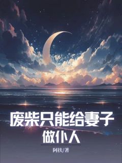 好书推荐废材只能给妻子做仆人孔辉沈月澜阿肆全文在线阅读