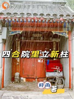 四合院里立新柱小说(完结版)-何瑜柱易中海在线阅读