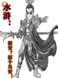 水浒：招安？招个鸟安！小说在线阅读，主角晁阳晁盖精彩段落最新篇