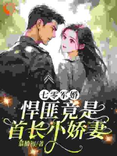 沈单染沈辞是哪部小说的主角 沈单染沈辞全文阅读