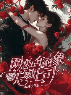 网恋五年的对象竟然是我的总裁上司?!在线全文阅读-主人公安今贺岁朝小说-随缘阅读网