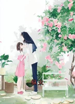 精品小说纵火全文目录畅读
