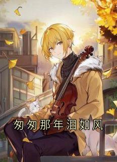匆匆那年泪如风小说全集(简舒意傅祁煜)无弹窗广告阅读