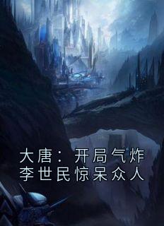 李炎李世民章节免费阅读-随缘阅读网