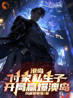 精选好书港岛：付家私生子，开局赢爆澳岛无删减版全文在线