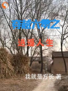 正版小说穿越六零之逍遥人生陈斌柳莲在线免费阅读