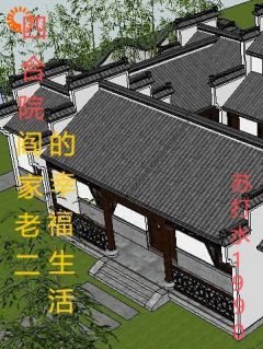 四合院阎家老二的幸福生活周云飞阎解义全章节目录免费阅读