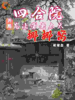 四合院：开局先让聋老太太挪挪窝小说(连载文)-徐晨光何雨柱无广告阅读