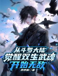 从斗罗大陆觉醒双生武魂开始无敌小说全章节目录阅读BY呼呼响完结版阅读