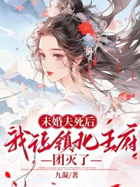 无弹窗小说未婚夫死后，我让镇北王府团灭了 作者九凝