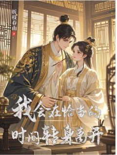 快手我会在恰当的时间转身离开小说全本章节大结局