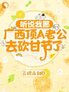 主角是何清川韦禹泽的小说-听说我那广西顶A老公去砍甘节了完整章节阅读