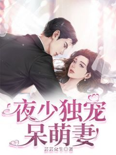 夜少独宠呆萌妻精彩小说-夜少独宠呆萌妻目录阅读
