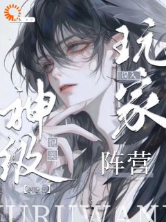 谢觉艾米亚小说抖音热文神级貌美npc，误入玩家阵营完结版