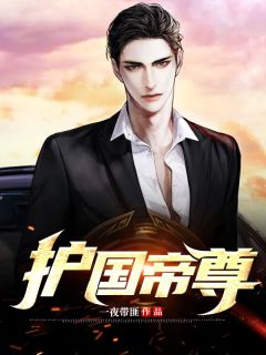 主角是帝风李璇的小说叫什么护国帝尊免费全文阅读