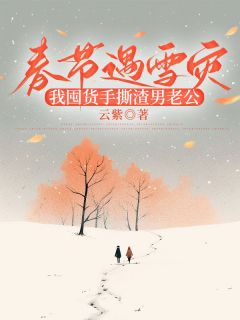 春节遇雪灾，我囤货手撕渣男老公小说(完结)-嘉静志诚无删减阅读