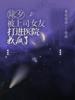 主人公林珂徐正涛小说除夕被上司女友打进医院，我疯了在线全文阅读