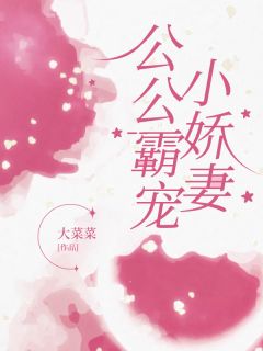 作者大菜菜写的公公霸宠小娇妻小说大结局全章节阅读