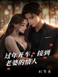 过年开车，接到老婆的情人无弹窗在线阅读-随缘阅读网