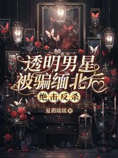 透明男星被骗缅北后，绝击反杀免费章节透明男星被骗缅北后，绝击反杀点我搜索全章节小说