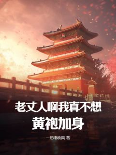 老丈人啊，我真不想黄袍加身！苏湛宋北凝免费全章节目录阅读