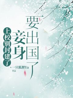 上校别封建了，妾身要出国了在哪免费看，宋听晚沈纪衍小说章节目录阅读