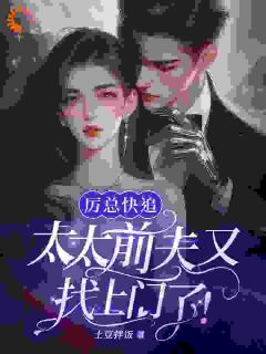 抖音离婚后前夫后悔了，可她已经成了大佬的女人txt小说阅读-随缘阅读网