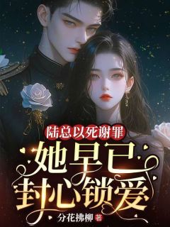 热门小说陆总以死谢罪，她早已封心锁爱完整版全文阅读