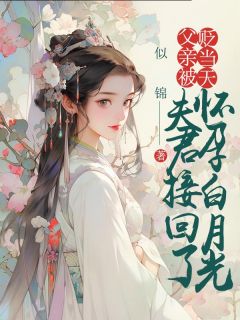 父亲被贬当天，夫君接回了怀孕白月光顾宴书叶婉仪全章节在线阅读