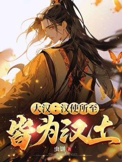 老书虫书荒推荐大汉：汉使所至，皆为汉土！txt小说阅读