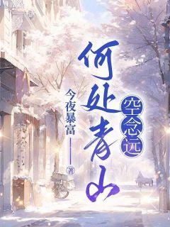 老书虫力荐何处青山空念远免费无弹窗阅读
