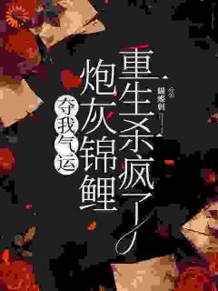 良心推荐夺我气运，炮灰锦鲤重生杀疯了小说试读