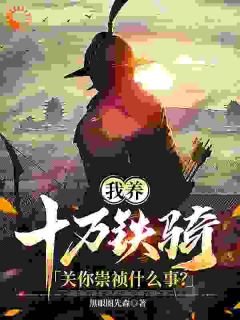 我养十万铁骑，关你崇祯什么事？张璟川吴三桂-小说txt全文阅读-随缘阅读网