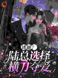 抖音爆款小说诱她？陆总选择横刀夺爱南稚陆凛安免费txt全文阅读