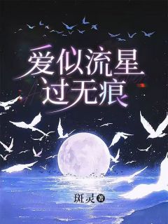 爱似流星过无痕小说_爱似流星过无痕小说结局阅读-随缘阅读网