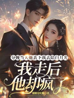 分娩当天他丢下我去陪白月光，我走后他却疯了(新书)大结局在线阅读
