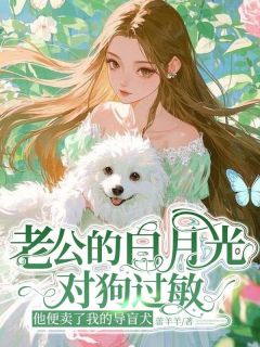 老公的白月光对狗过敏，他便卖了我的导盲犬(傅渊白晓)最新章节试读