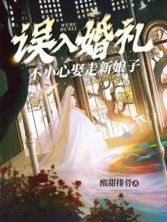【第一章参加婚宴，被迫相亲】主角(张婉君堂姐)在线阅读