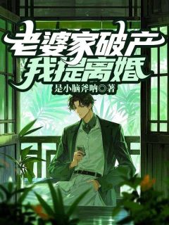 老婆家破产，我提离婚是什么小说李洋王曦妍全本免费阅读