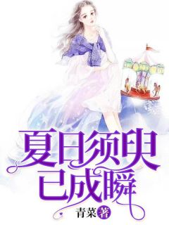 夏日须臾已成瞬未删减阅读
